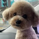 말바우동물병원 이미지