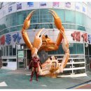 대게종가 이미지