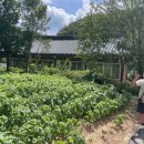 별초롱유치원 이미지