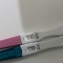 상무제일약국 | 임신확인부터 22주까지, 엄마가 되어가는 기록