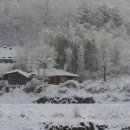 크린에버 이미지