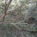 호교농원 이미지