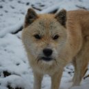 영실농장 이미지