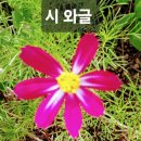 로또복권 / 이현천 이미지