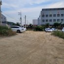 라임에스테틱 - 이천시 | 울산 호계 매곡 등관리 끝장낸 테라노바 리얼후기 라임에스테틱
