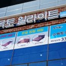 수목토일라이트예산