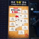 투뿔소정소 | [인천/부평] 부평 가족 외식으로 좋은 소고기 맛집 한우집투뿔사위 부평점 솔직후기
