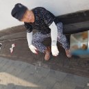 명성학원 티스토리