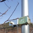 조성농장 이미지