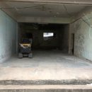 햄스터 분양 로던트 클럽 충남점 이미지