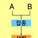 우리나라통신 이미지