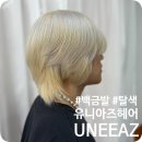 유니아즈헤어 포항 대흥점