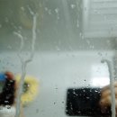 오케이셀프크리닝 이미지