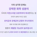 로사약국 이미지