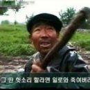 제제몰