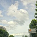 신발공판장 네이버블로그