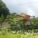 상면사무소 (1층) Daum카페