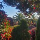 대정시크릿풀빌라앤리조트 이미지