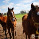 경기유전자 이미지