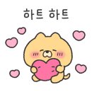 해피애견타운강아지분양서울본점 말티푸 미니비숑프리제 포메 이미지