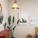 마음스테이 이미지