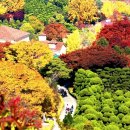 농업회사법인주식회사베어트리파크 티스토리