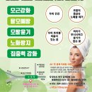 엘샤론코리아 이미지