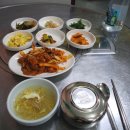 수원-0996 | [수원/정자동]골목식당 갔다가 근처'대구생막창' 집에서 점심 제육볶음먹구왔어요