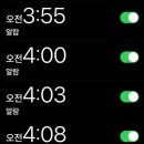 무지개다리화장실 | 남미여행 6 | 쿠스코 당일치기, 비니쿤카 무지개산(5000m) 투어 후기