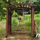 우암산등산로1 이미지