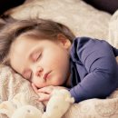 자연의선물 이미지