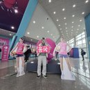 배구 | 여자배구 직관후기