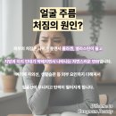 강남뷰티업성형외과의원 이미지