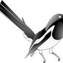 까치주유소 이미지