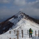 2015년 2월 정기산행 안내 (양구 봉화산) 이미지