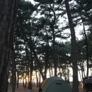 노을바다 | 전북 고창 구시포 노을캠핑장 바다캠핑 후기