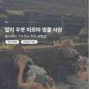 신성농장 | 발리 동부 우붓 근처 투어 띠르따 엠플 사원(Pura Tirta Empul)에서 기도하기