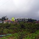 우곤리 농장 이미지