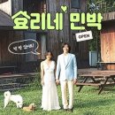 해피투게더민박 이미지