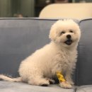 구름동물병원 이미지