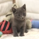 집사의 하루 대구점 이미지