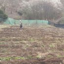 김영복농장 이미지