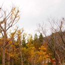 향동초등학교 이미지