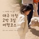 가창농업협동조합 | 수도권 출발 가창 네이처파크 아기랑 2박 3일 여행 숙소 맛집 놀거리 코스 추천