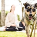 두원실업(주) 이미지