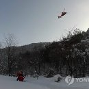 언별1리 이미지