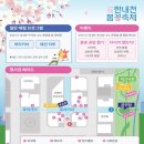 광명패션문화의 거리 | 금천구, 광명시 벚꽃 명소 2026년 한내천 벚꽃축제 실시간 벚꽃 개화상태