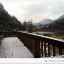 산천초목민박 이미지