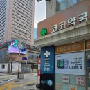 명동중앙약국 | 명동 닭갈비 을지로입구 맛집추천 치즈폭탄 장인닭갈비 명동점