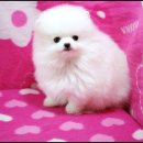 몽글몽글 이미지